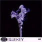 Paul Reeves' Bluekey album cover